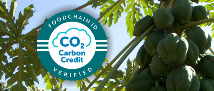 ReSeed and FoodChain ID announce their partnership promoting global sustainability practices
